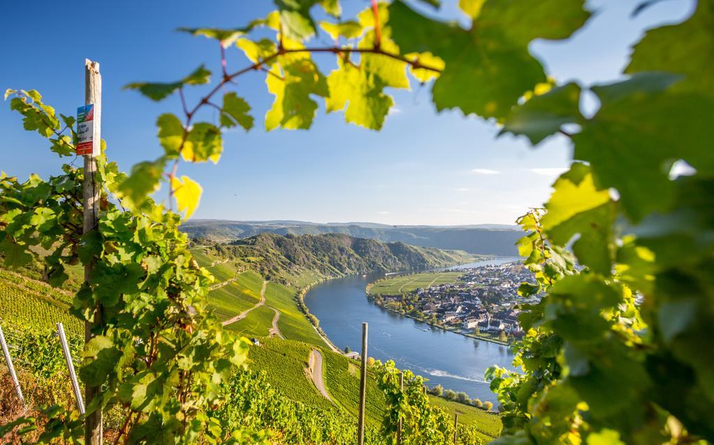 Wohngut Koblenz Otel Dış mekan fotoğraf